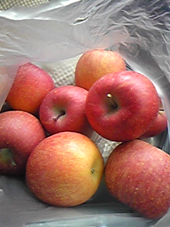 72f51102.jpg
