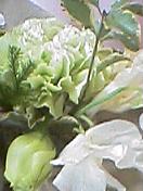 050327_1934001.jpg