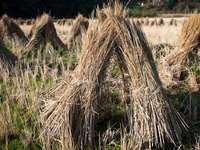sanpomiti12