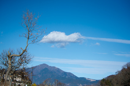 ooyama