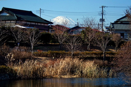 fuji1