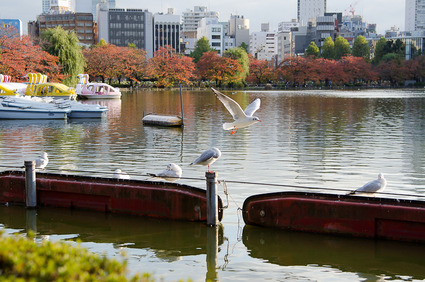 ueno2