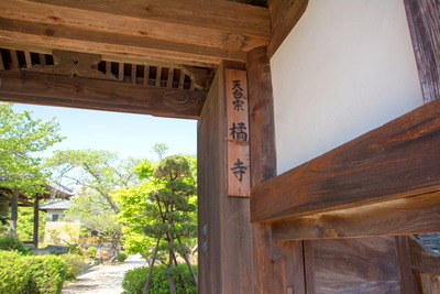 飛鳥路12