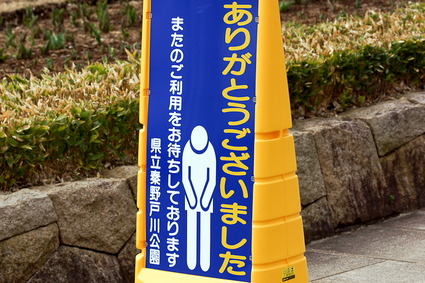 T19