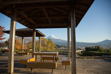 fujigawa4