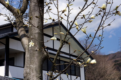 furusato1