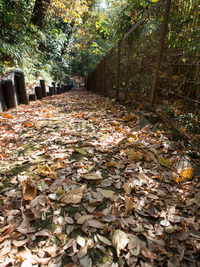 sanpomiti1