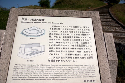 飛鳥路10