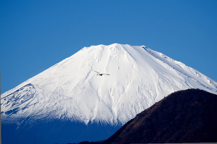 sakawa0