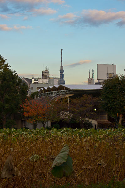 ueno12