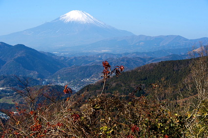 chekku1
