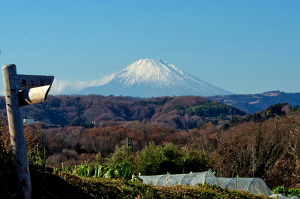 fuji2