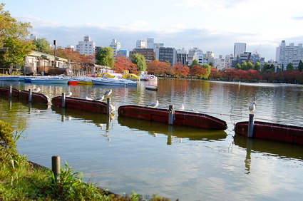 ueno1