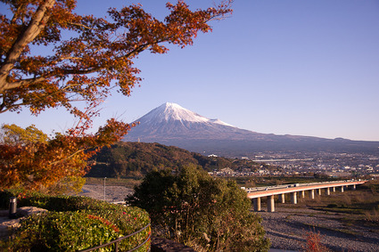 fujigawa3