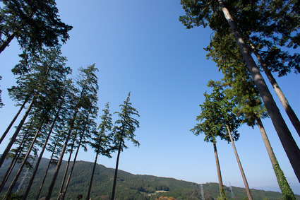 tuika2