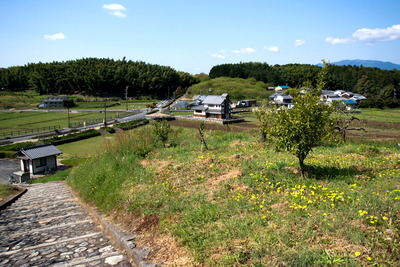 飛鳥路8
