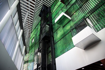umeda2