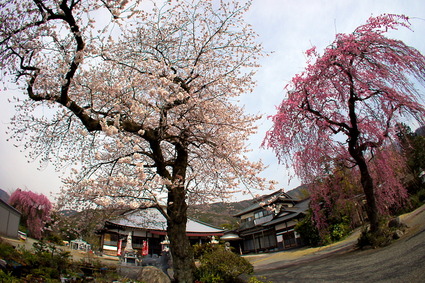 hakusen10