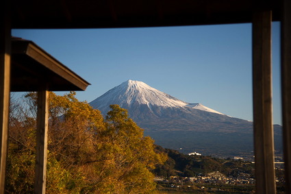 fujigawa5