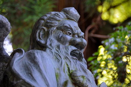 D300sBlog5