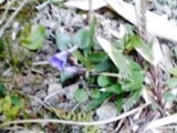 2009-03-20_13-18