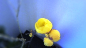 DVC00187