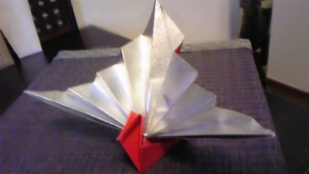 DVC00179