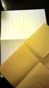 DVC00242