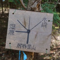 頼りになる案内板