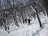 樹林帯のハイクは発見がいっぱい♪