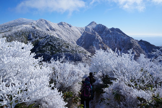 美しく雪化粧した朝日岳
