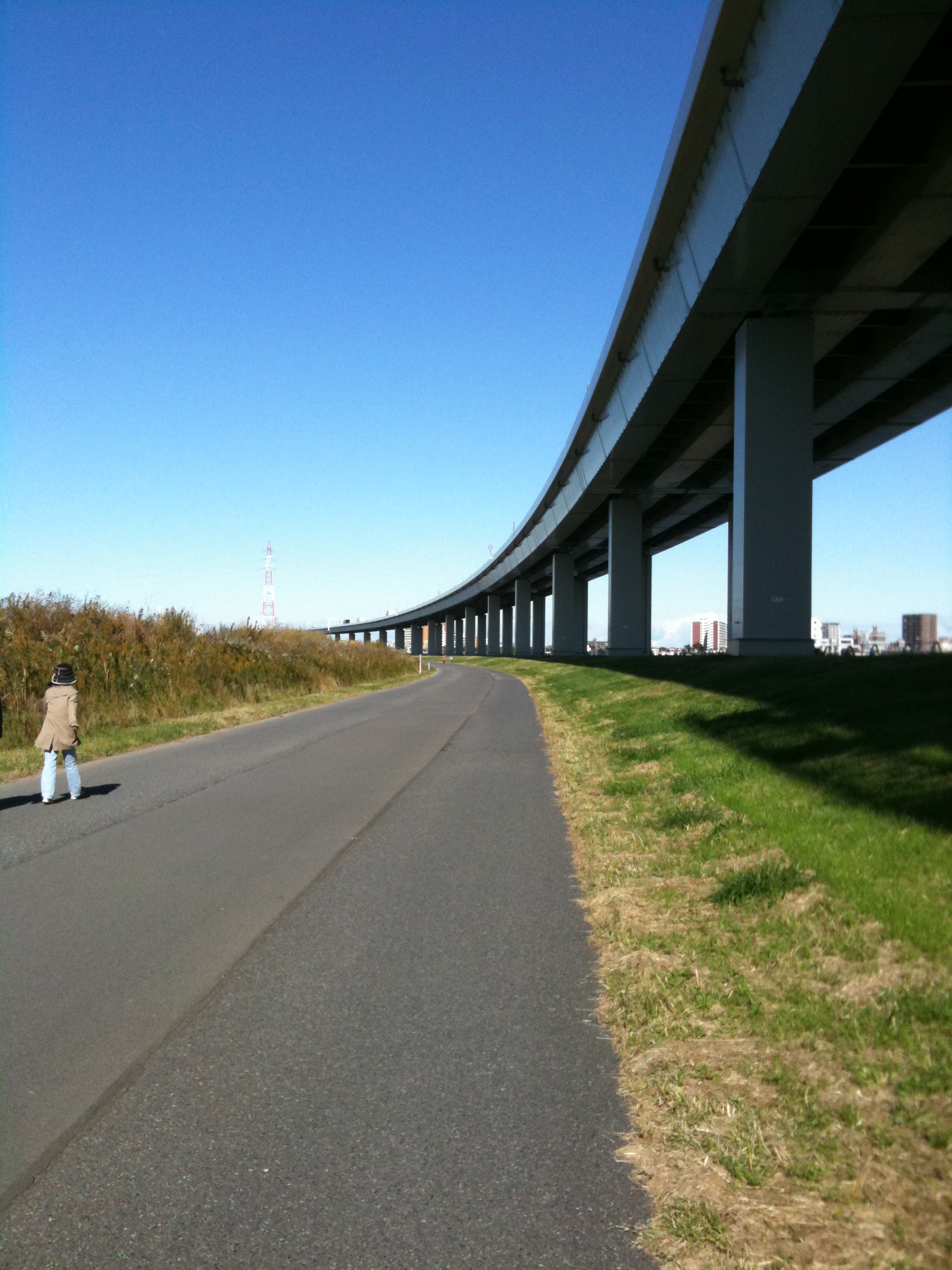 River Runs Through It~TOKYO自転車 ...