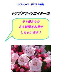 satoori