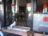inu2
