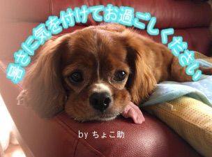 20180811