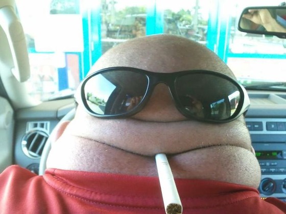 daily_picdump_1108_640_03