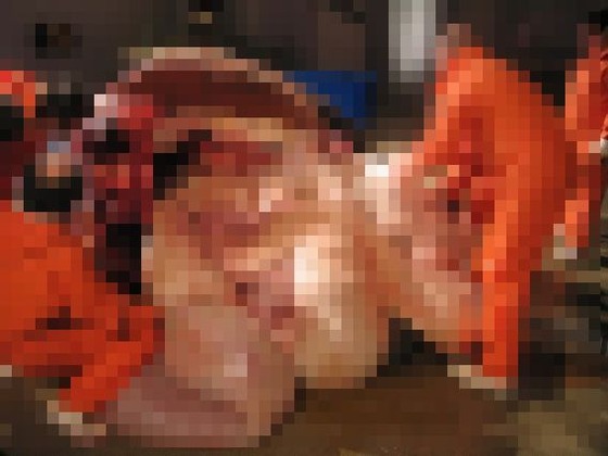 1_5