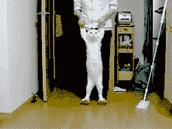 202_1
