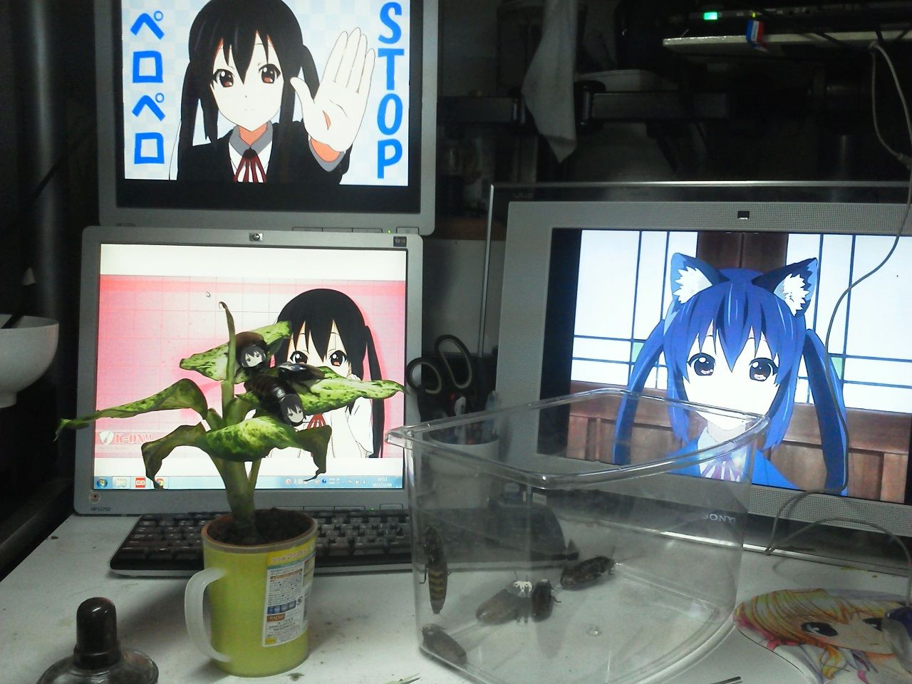 ۑō̉摜]ڂX 145 ؋YouTube>9{ ->摜>657 