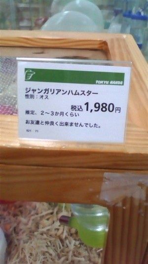 f6e284d0