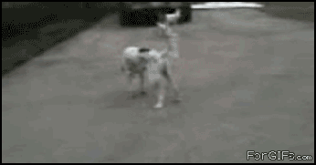 63_4