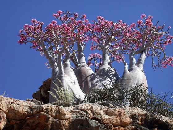 the_top_picturesque_places_on_planet_earth_640_17