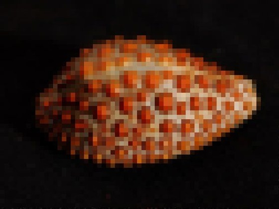 1_5