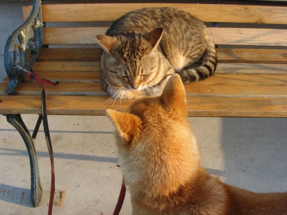 20110808093800_69_1