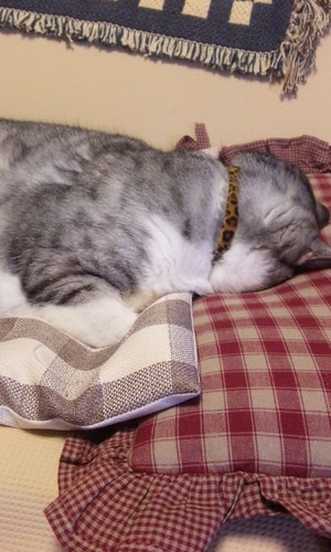 20111210194009_12_1