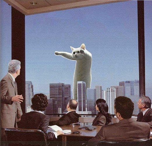 8_1