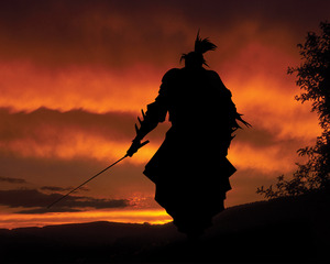 Samurai_Wallpaper_by_tonvanalebeek