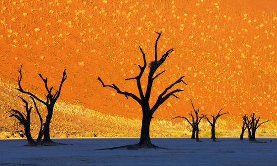 the_top_picturesque_places_on_planet_earth_640_15