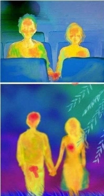 6e2b2e66