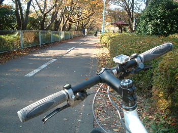 20041128_road